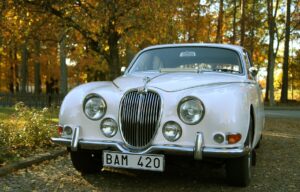 Jaguar 01