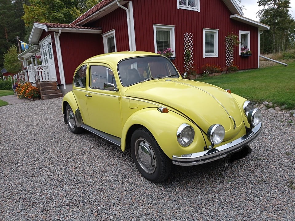 241009768_168198042108957_7879156621761701028_n