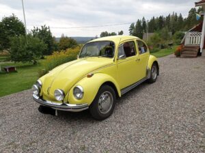 241013361_209820074532680_6927701965026198014_n