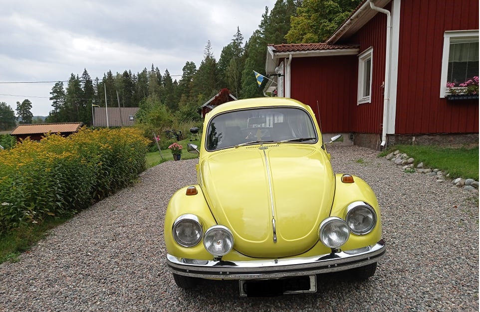 241124272_1279506035818464_2110596531349010012_n