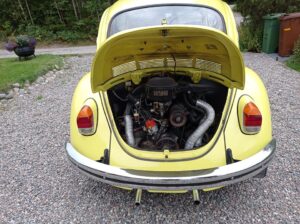 241126135_135752782020794_1481641056989025563_n