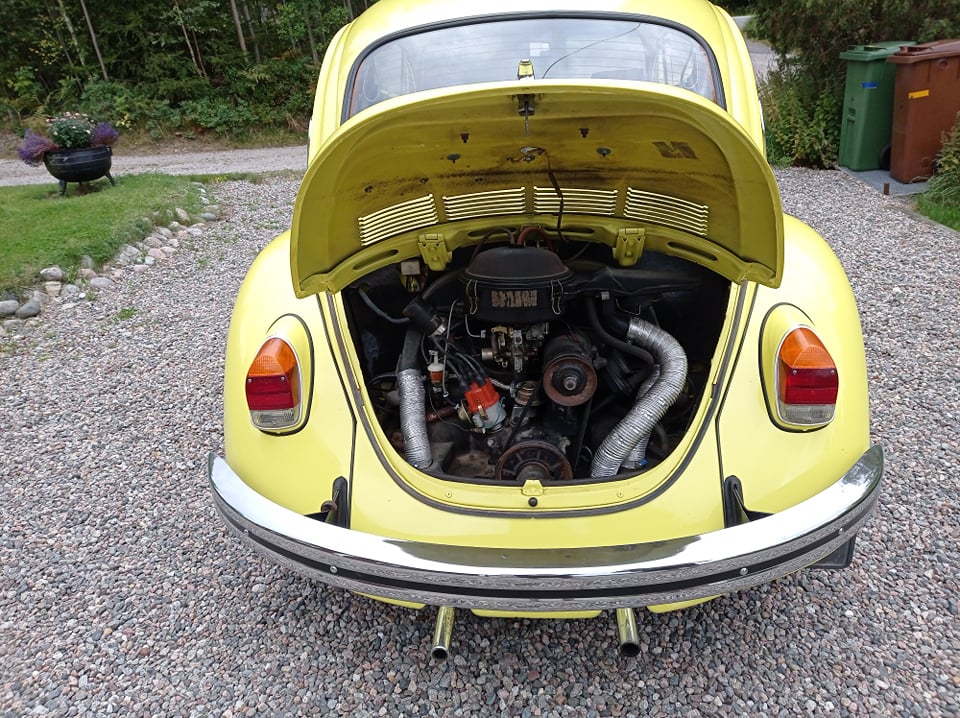 241126135_135752782020794_1481641056989025563_n