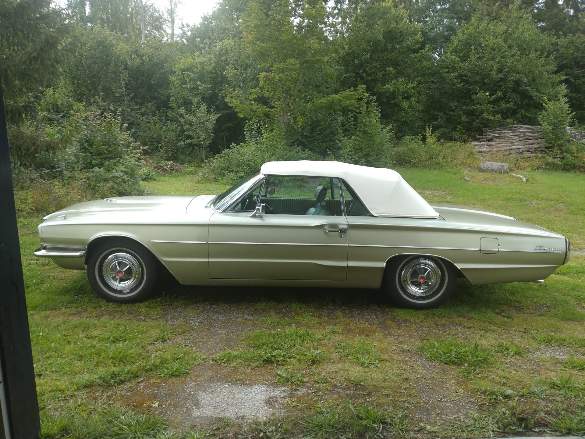 240809-c1dbfa7ed7e0b97e40568b86b8ebd9e8